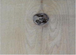 wood defect-knot